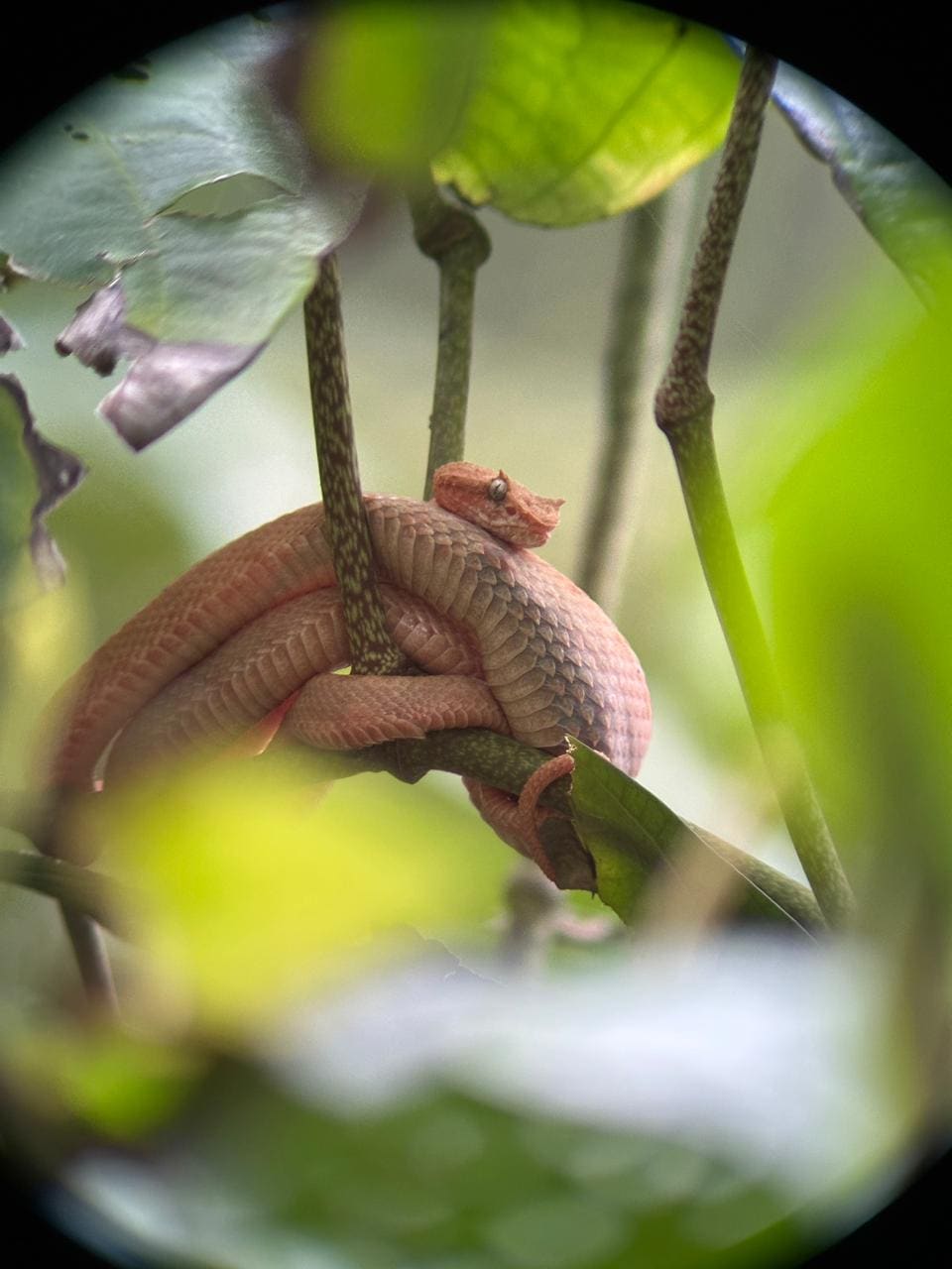 Wildlife tour photo