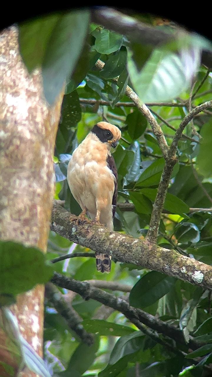 Wildlife tour photo