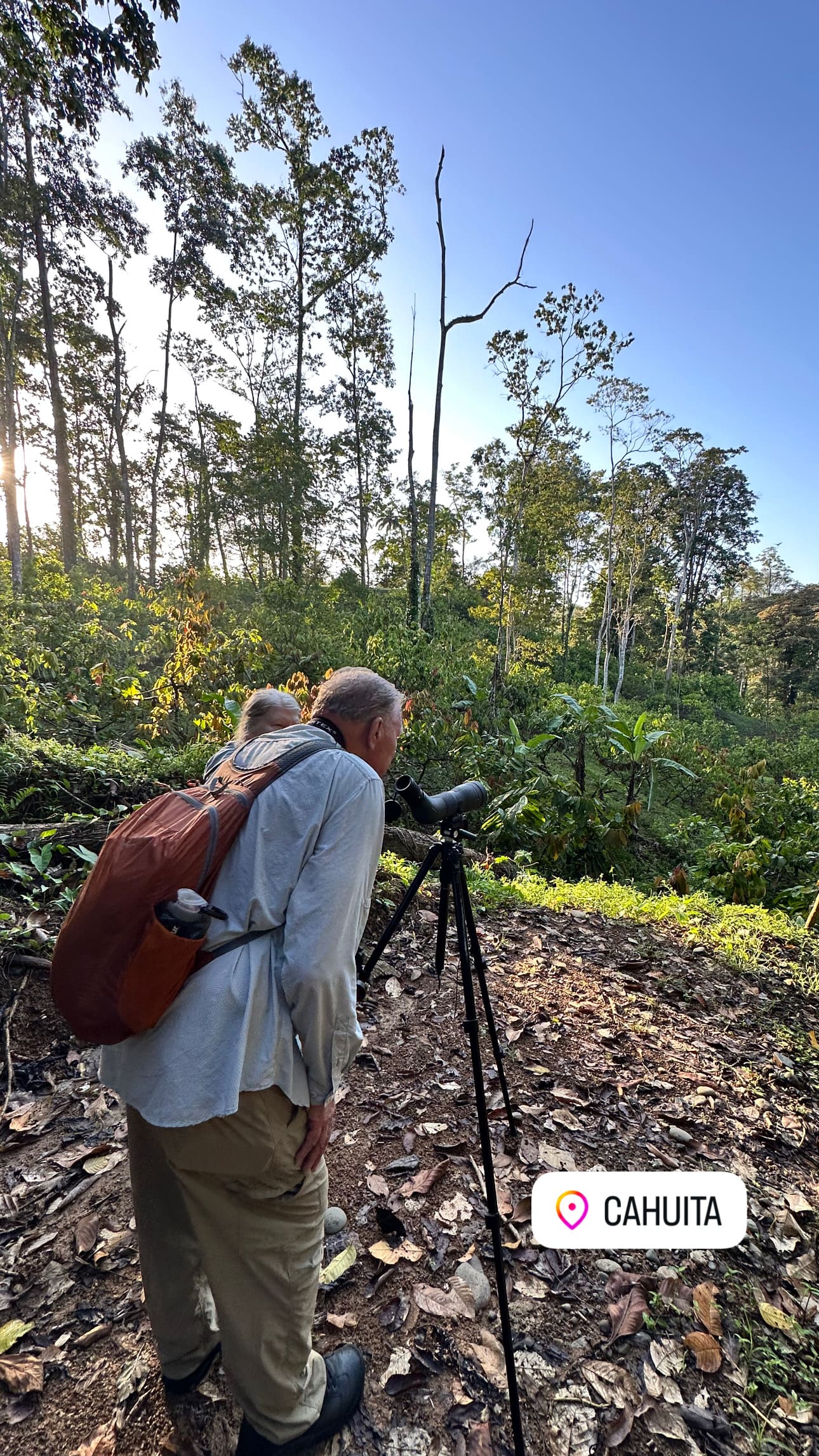 Alonso guide birdwatching in Cahuita